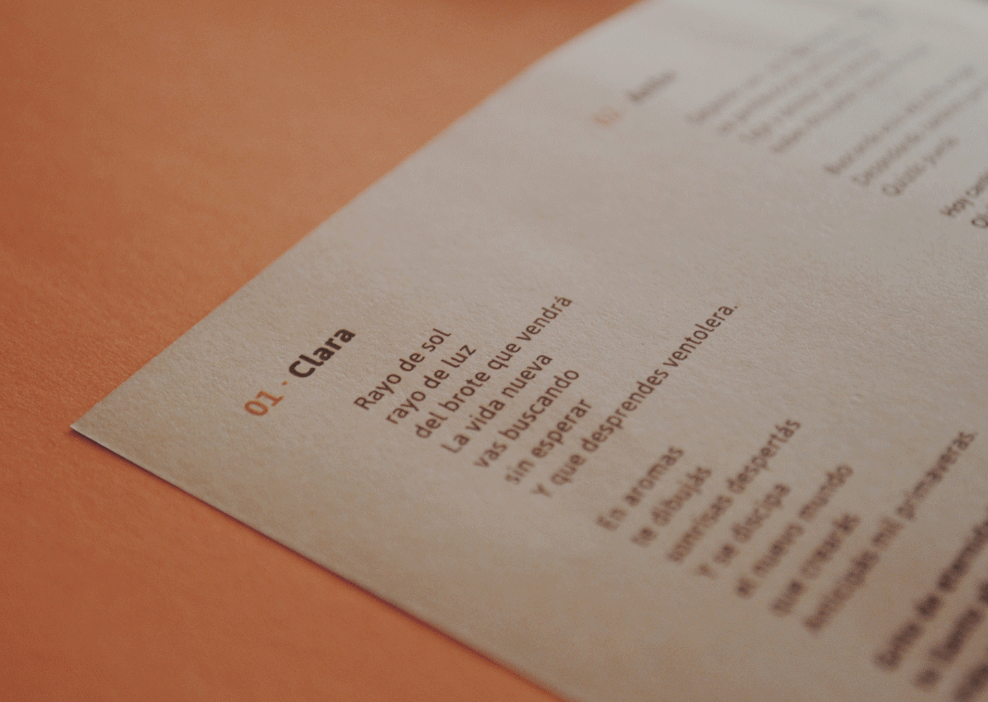 Fluir · Araceli Bonfigli